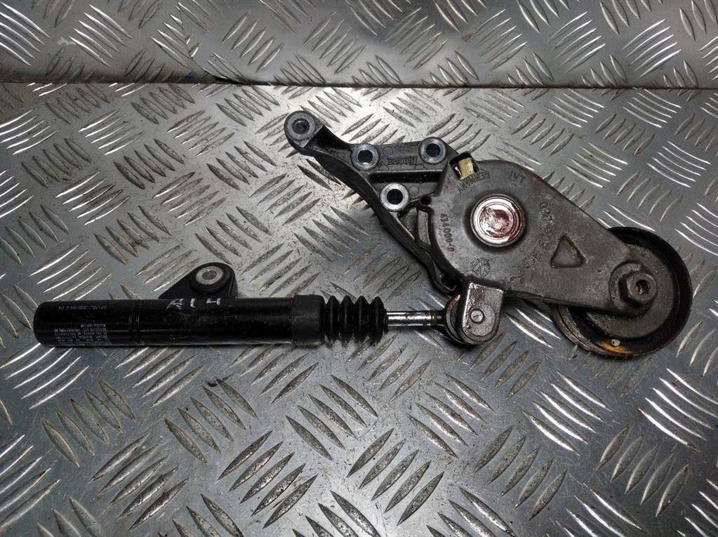 механизм натяжения ремня, цепи Volkswagen Golf 4 поколение 1999, 1.9 л., TDi, дизель, 038903315C - фото №1