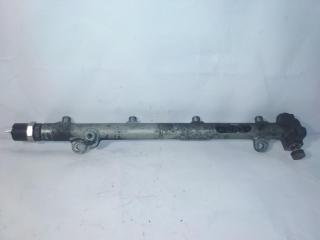 топливная рампа Mercedes-Benz Sprinter 1 поколение (W901-905) [рестайлинг] 2004, 2.2 л., CDi, дизель, 445214004