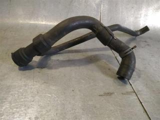 патрубок радиатора Audi A4 B5 1996, 1.6 л., i, бензин