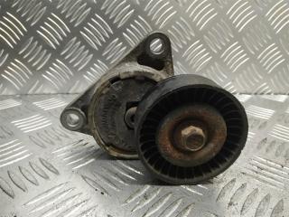 механизм натяжения ремня, цепи Chevrolet Aveo T250 [рестайлинг] 2006, 1.4 л., i, бензин, 96349976