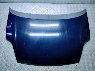 капот Fiat Grande Punto 199 [рестайлинг] 2009, фиолетовый