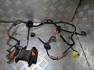 дверная проводка Volkswagen Passat B6 2009, 3C2971121CF