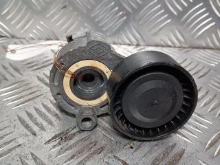 механизм натяжения ремня, цепи Renault Scenic 2 поколение 2006, 1.6 л., i, бензин, 117503662R