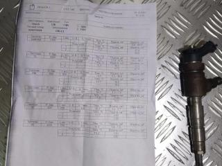 форсунка Citroen C3 2 поколение 2010, 1.4 л., HDi, дизель, 445110339