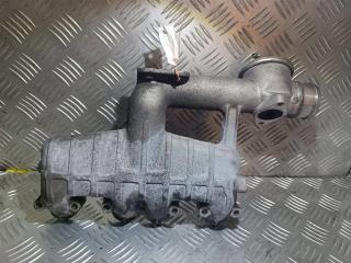 коллектор впускной Skoda Octavia 1 поколение (A4) 1999, 1.9 л., TDi, дизель, 038129711B, 038129713B