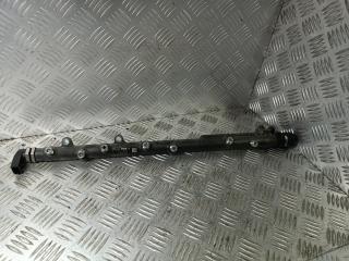 топливная рампа BMW X5 E53 [рестайлинг] 2005, 3.0 л., дизель, АКПП, 0445216015, 7795514