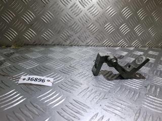 петля двери Volkswagen Passat B5 [рестайлинг] 2003