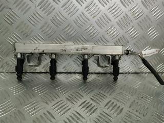 форсунка Ford Focus 1 поколение [рестайлинг] 2005, 1.6 л., i, бензин, 0280156154, 1S7GGA, 4M5G9D280DB, L81113150A