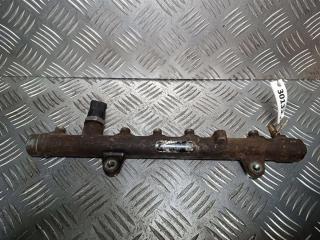 топливная рампа Renault Scenic 2 поколение 2005, 1.9 л., DCi, дизель, 0445214065, 8200330912, 0281002720