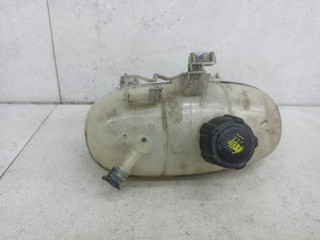 бачок расширительный Renault Trafic 3 поколение 2014, 217101893R