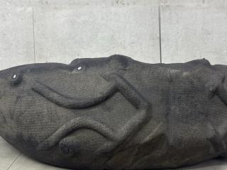 защита арок задняя правая (подкрылок) Porsche Macan 1 поколение (2013 - 2019), 95B810972