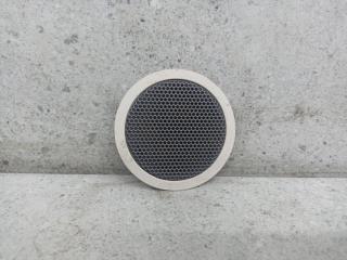 сетка на динамик BMW X5 F15 (2013 - 2018), 7137193