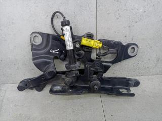 петля капота правая BMW 5 серия F10/F11 [рестайлинг] 2017, 3.0 л., N57 D30 A, дизель, АКПП, 7249888