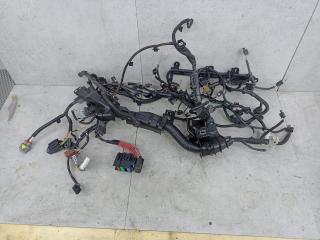 проводка двигателя Renault Arkana 1 поколение 2022, 240115595S