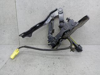 петля капота правая Kia Sorento 3 поколение [рестайлинг] (2017 - 2020), 79120C5000, 79160C5000