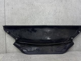 перегородка BMW X5 F15 (2013 - 2018), 51717309204