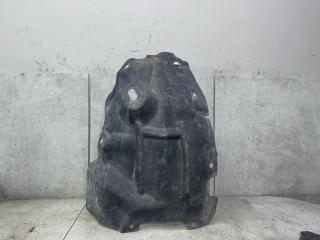 защита арок передняя левая (подкрылок) Renault Scenic 4 поколение (2016 - 2020), 638443887R