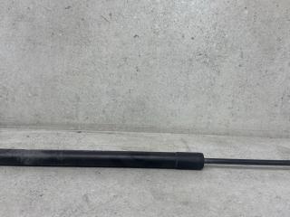 амортизатор крышки багажника (3-5 двери) Renault Scenic 3 поколение 2010, 904500004R