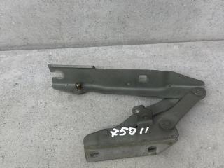 петля капота правая BMW 5 серия E60/E61 [рестайлинг] (2007 - 2010), 008728