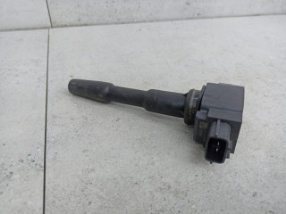 катушка зажигания Renault Kaptur 1 поколение 2019, 224332428R