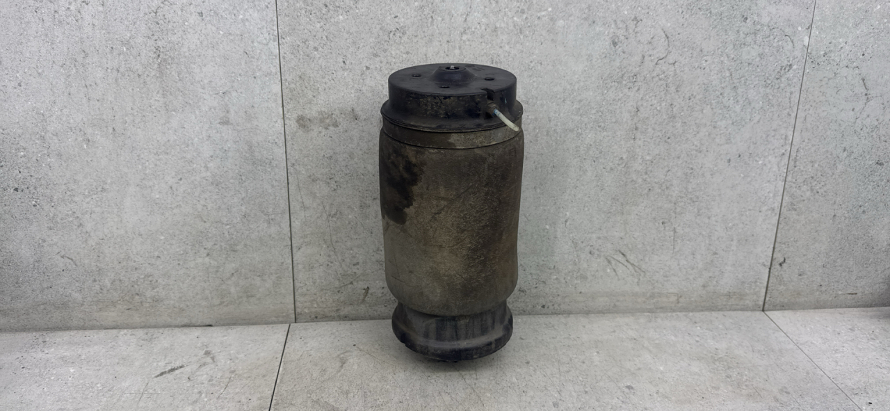 пневмоподушка Mercedes-Benz GLS-Класс X166 (2015 - 2019), 310716401 - фото №1