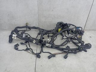 проводка двигателя BMW 7 серия G11/G12 2019, 3.0 л., B57 D30 A, дизель, 8571106