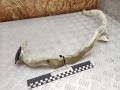 горловина бачка омывателя BMW 7 серия F01/F02 F01 2009, 4.4 л., бензин, АКПП, 723777702, 11868015 - фото №2