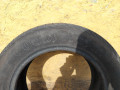 шина  - фото №2