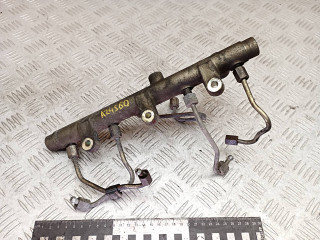 топливная рампа Peugeot 406 1 поколение [рестайлинг] 2002, 2.0 л., дизель, МКПП, универсал, 0445214019