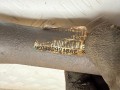 полуось передняя правая (приводной вал, ШРУС) Chrysler Pacifica 1 поколение 2007, 4.0 л., EGQ, бензин, АКПП, 4809918AC, 4880342AB, 4880342AC, 04809918AC, 04880342AB, 04880342AC - фото №6