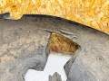 защита арок передняя левая (подкрылок) Citroen C4 Picasso 1 поколение 2007, 2.0 л., RHJ (DW10BTED4), дизель, МКПП, передний привод, 9653142080 - фото №8