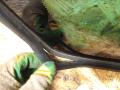 стекло кузовное боковое правое Peugeot 308 T7 2010, 2.0 л., RHR (DW10BTED4), дизель, МКПП, универсал - фото №4