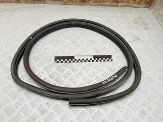 уплотнитель двери Renault Scenic 1 поколение 1997, 2.0 л., F3R 796, бензин, МКПП