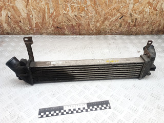 интеркулер Renault Kangoo 1 поколение [рестайлинг] 2008, 1.5 л., дизель, МКПП, WTP71591
