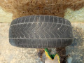 шина  - фото №6