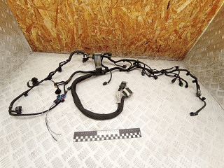 проводка двигателя Peugeot 207 1 поколение 2008, 1.4 л., EP3C, бензин, МКПП, хетчбэк 5 дв., правый руль, 12527548065, V75480658002, V760119780