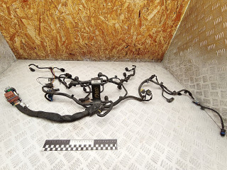 проводка двигателя Mini Cooper 2 поколение 2010, 1.6 л., N16 B16 A, бензин, кабриолет, правый руль, 7601202, 7601189