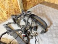 проводка двигателя Volvo V70 2 поколение [рестайлинг] 2007, 2.4 л., D 5244 T4, дизель, АКПП, универсал, 30679870, 8690698, 8622006, 30728860, 08688085 - фото №2
