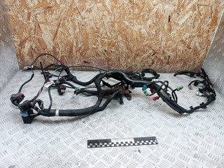 проводка двигателя Citroen C5 1 поколение [рестайлинг] 2008, 2.0 л., RHR (DW10BTED4), дизель, АКПП, 9647650480, 9662566580, 9663075880