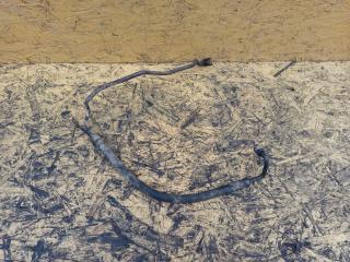 трубка гидроусилителя Opel Vectra C 2005, 2.0 л., Y 20 DTL, дизель, 0100185116013