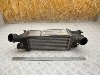 интеркулер Citroen C5 1 поколение [рестайлинг] 2006, 2.0 л., дизель, МКПП, универсал, IA1095, 874823NK, 9645682880