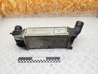 интеркулер Citroen C5 1 поколение [рестайлинг] 2007, 2.0 л., RHR (DW10BTED4), дизель, АКПП, хетчбэк 5 дв., IA1095, 874823NK, 9645682880