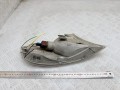 поворотник левый Saab 9-5 1 поколение [рестайлинг] 2003, 2.0 л., бензин, МКПП, универсал, 89006247, 5286455 - фото №4
