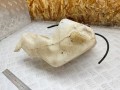 бачок омывателя Chrysler Pacifica 1 поколение 2007, 4.0 л., EGQ, бензин, АКПП, 04894274AA, 04857906AA - фото №4