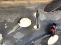 бампер передний Opel Astra H 2007, 1.6 л., Z 16 XER, бензин, МКПП, купе - фото №30