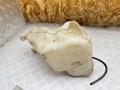 бачок омывателя Chrysler Pacifica 1 поколение 2007, 4.0 л., EGQ, бензин, АКПП, 04894274AA, 04857906AA - фото №6