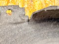 защита арок задняя правая (подкрылок) Citroen C5 2 поколение 2009, 2.7 л., UHZ (DT17BTED4), дизель, АКПП, седан, 9681095080 - фото №8