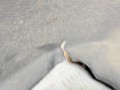 защита арок передняя левая (подкрылок) Peugeot 607 1 поколение 2002, 2.2 л., 3FZ (EW12J4), бензин, МКПП, седан, LTPG6031 - фото №8