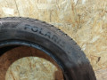 шина  - фото №4