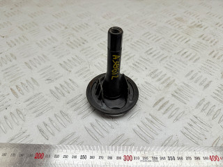 крепление запаски Renault Scenic 1 поколение (1996 - 1999), 1.6 л., K7M 702, бензин, МКПП, 7703041034